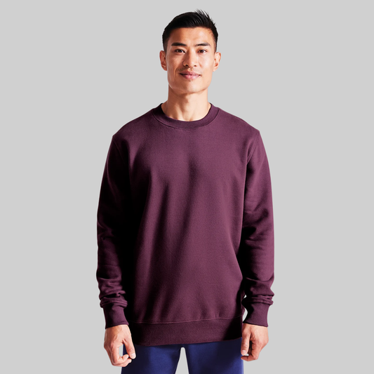 Eco Sweatshirt | Anthem